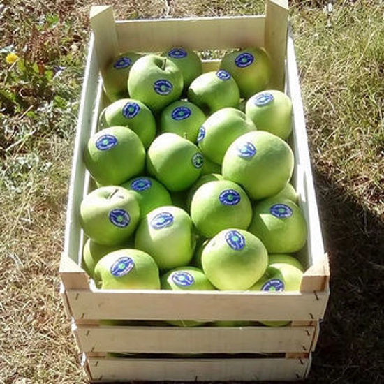 Billede af Granny Smith