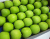 Billede af Apples