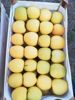 Billede af Apples