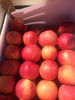 Billede af Apples