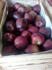 Billede af Apples
