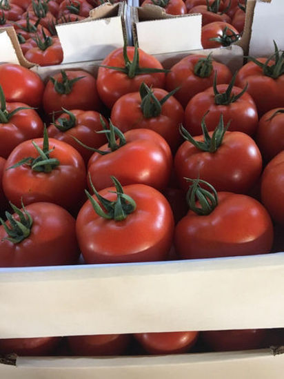Billede af Tomatoes