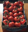 Poza cu Tomatoes