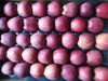 Billede af Apples