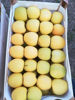 Mynd af Apples