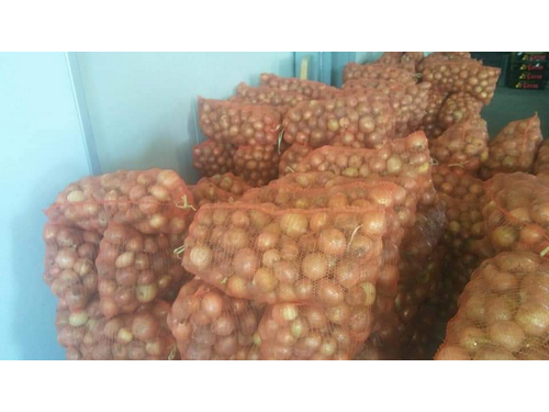 Billede af Onion