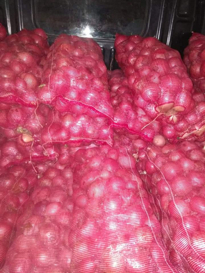 Billede af Onion