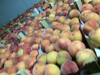 Billede af Peaches