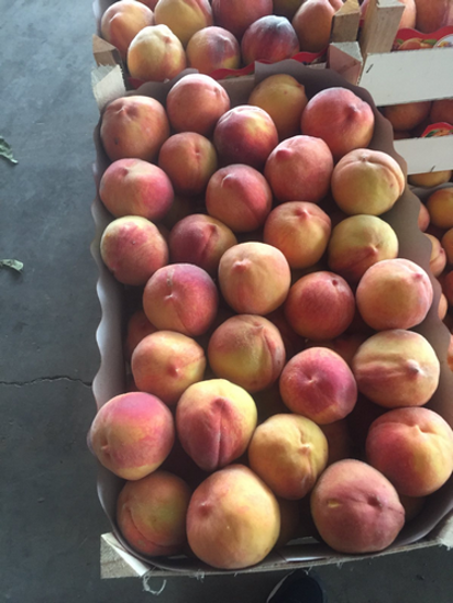 Billede af Peaches