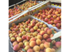 Billede af Apricots