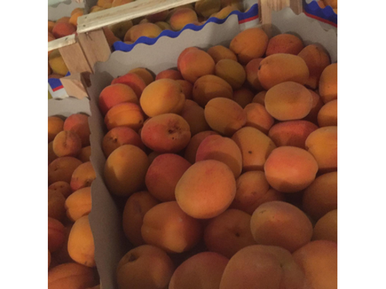Billede af Apricots