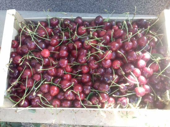 Billede af Cherries
