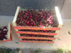 Billede af Cherries