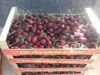 Billede af Cherries