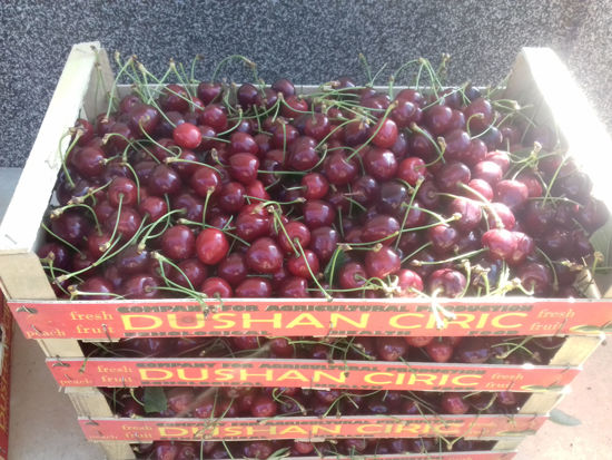 Billede af Cherries