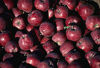 Billede af Red Delicious