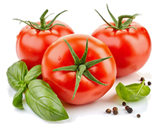 Billede af Organic Tomato