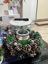 Table Decorations এর ছবি
